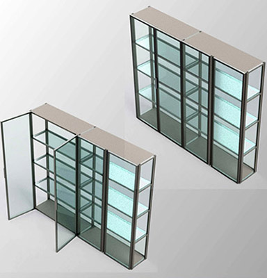 Modern aluminum glass wardrobe